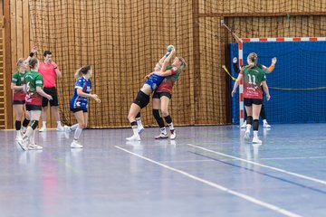 Bild 228 - F HSG Kremperheide/Muensterdorf - HSG Holstein Kiel/Kronshagen : Ergebnis: 31:26